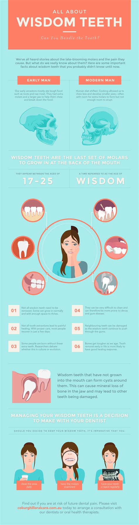 What Are Wisdom Teeth Everything You Need To Know