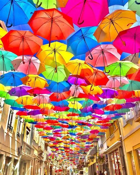 Beautiful Umbrella Street In Portugal Colorful Umbrellas Umbrella