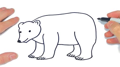 Cómo Dibujar Un Oso Polar Paso A Paso Dibujo De Oso Polar Youtube