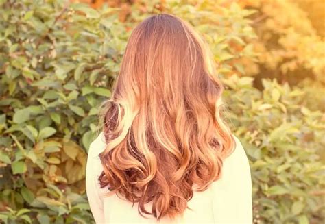 Top Image Chestnut Auburn Hair Color Thptnganamst Edu Vn