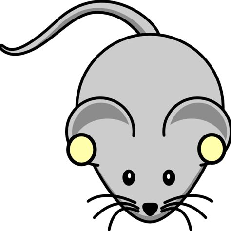 Rat Clipart Grey Rat Rat Grey Rat Transparent Free For Download On