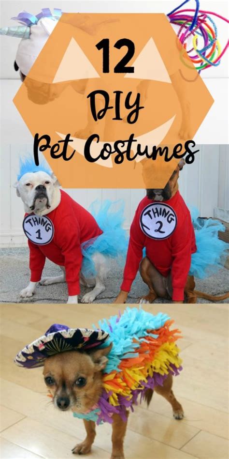 12 Diy Pet Costumes Yesterday On Tuesday
