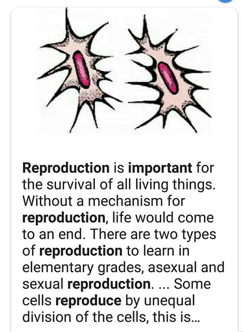 Define Reproduction And Explain Its Importance
