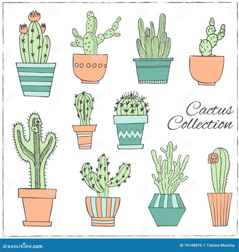 Hand Drawn Set Of Cactus In The Pots Stock Vector Illustration Of