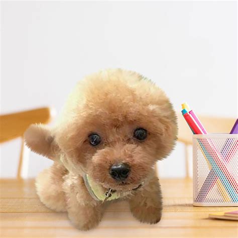 Wepro Realistic Teddy Dog Lucky Handmade Realistic Figure Toy Dog