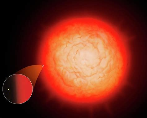 Largest Star Uv Scuti Compared To Sun Photograph By Mark Garlick Pixels