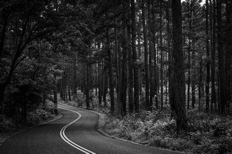 The Road Through The Mysterious Forest A Road Winds Through The Pine