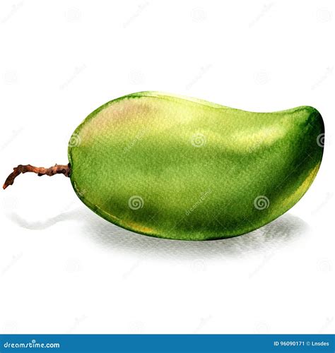 Green Mango Fruit With Two Thumbs Up Logo Mascot Logo Icon Illustration