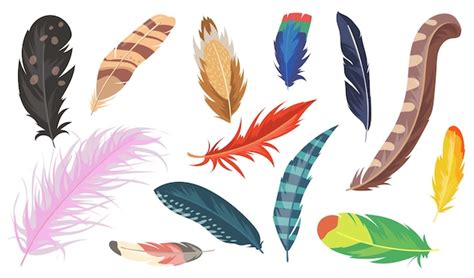 Free Vector Variety Of Colorful Feathers Flat Item Set Cartoon Shiny