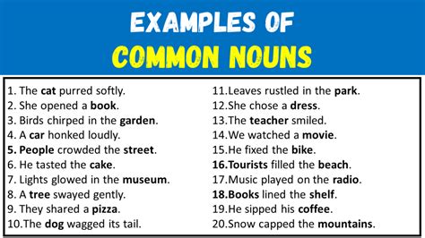 20 Examples Of Common Nouns In Sentences Engdic