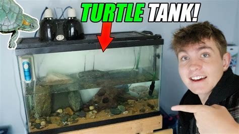 The Ultimate 30 Gallon Baby Turtle Tank Cheap Youtube