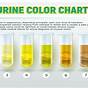 Puppy Urine Color Chart