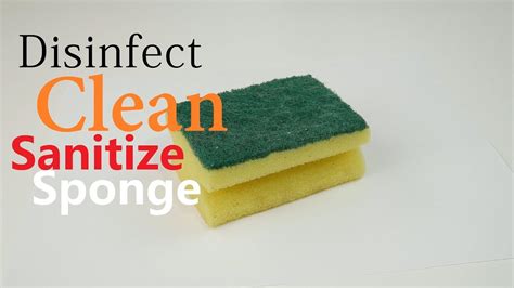 How To Sanitize Clean Disinfect Kitchen Sponge Easy Simple Youtube