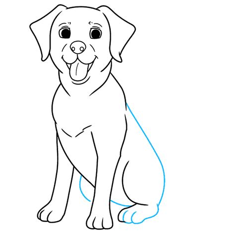 How To Draw A Labrador Really Easy Drawing Tutorial