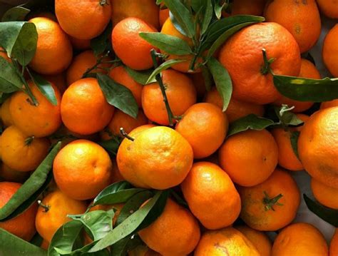 Propiedades Beneficios De Las Mandarinas Bon Any Fruites