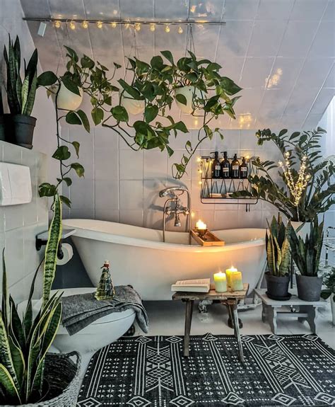 Botanical Bathroom 😍🌵 Link In Bio Credits Kunislovely