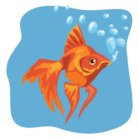 Freshwater Fish Tank Clip Art Illustrations Royalty Free Vector