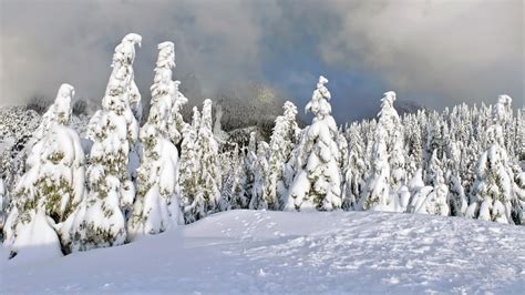 Winters worden steeds minder wit: Sneeuw Wallpapers | HD Wallpapers