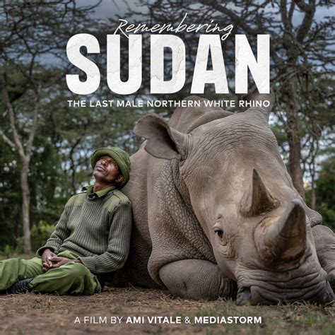 Remembering Sudan The Last Male Northern White Rhino International