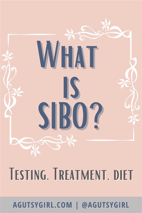 Sibo Diet Testing And Natural Treatments Artofit