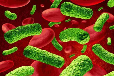 Infecciones Por Bacterias Se Tratan En Cámara Hiperbárica Camara