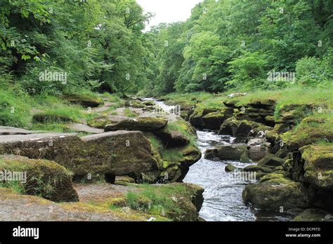 The Strid Bolton Abbey Estate Wharfedale Yorkshire Dales Uk Stock