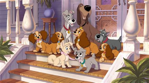 Lady And The Tramp Ii Scamps Adventure Wallpapers Movie Hq Lady And