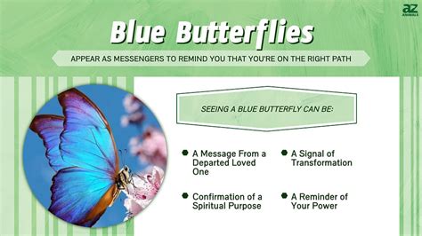 Blue Butterfly Sightings Spiritual Meaning And Symbolism A Z Animals