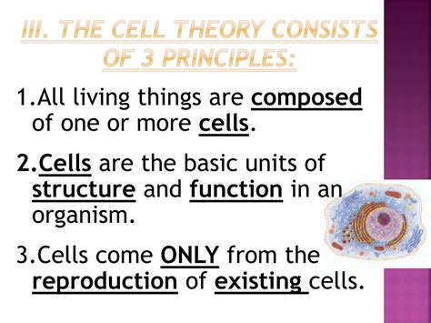 Ppt Cells Powerpoint Presentation Free Download Id2475941