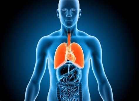 Lungenembolie Die Typischen Symptome Erkennen Was Tun