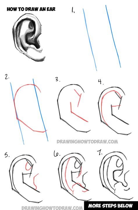 Ear Drawing Step By Step