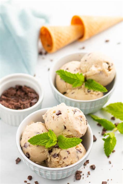 Top Vegan Chocolate Chip Ice Cream