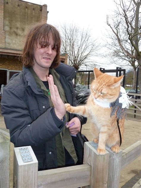However, the pose of bob in the dramatic plots where james fiercely fought against his addiction is. Events: An evening with James Bowen and Streetcat Bob in ...