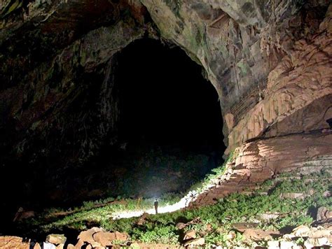 Interesting Facts About Son Doong Cave