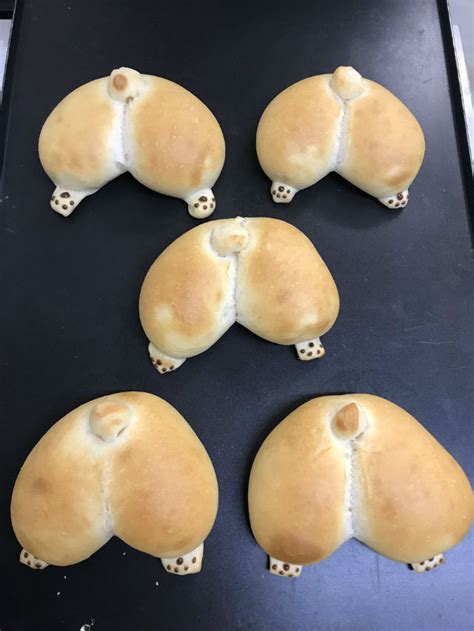 ♥cute puppies♥ awesome boxer puppies | cute puppies doing funny things cute puppies playing. Holiday Baking Inspo: Corgi Butt Bread / Boing Boing