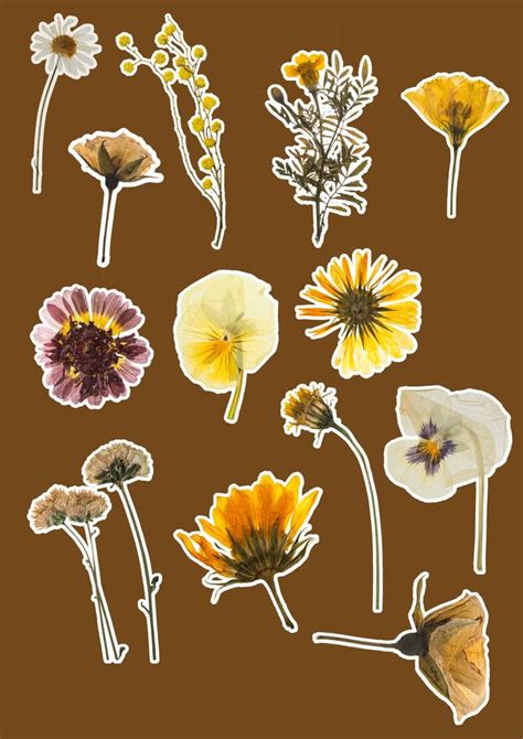 Dried Flowers In Scrapbook Stickers Printable Vintage Aesthetic