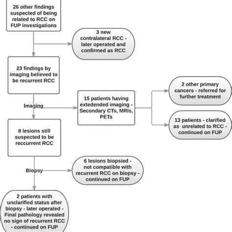 Flow Chart Demonstrating The Investigative Pathway For Patients With