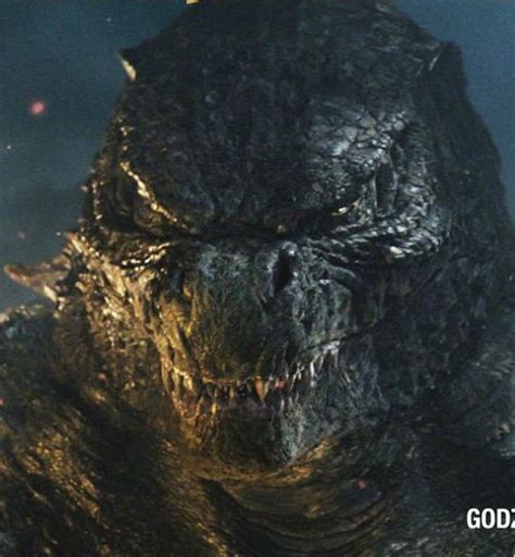 Click For A Larger View Godzilla Suit King Kong Vs Godzilla Godzilla