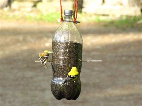 Recycled Spring Bird Feeder Craft Idea Bird Feeder Craft Bird