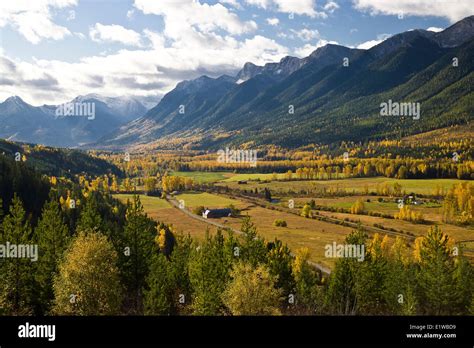 Elk Valley In Autumn Near Fernie Bc Canada Stock Photo Alamy