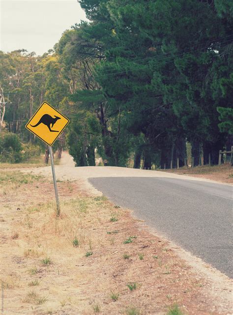 Road Sign Australia By Stocksy Contributor Gillian Vann Stocksy