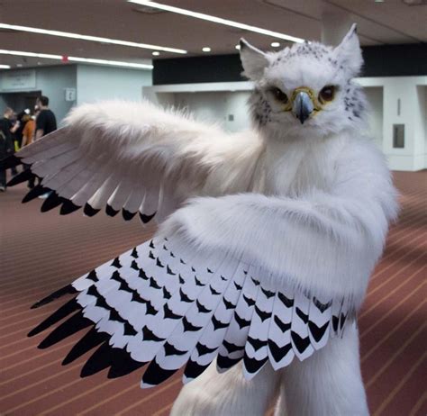 The Furries Of Hong Kong Men And Women Who Dress Up As Animals And
