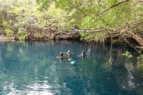 Diving Cenote Angelita Mexico