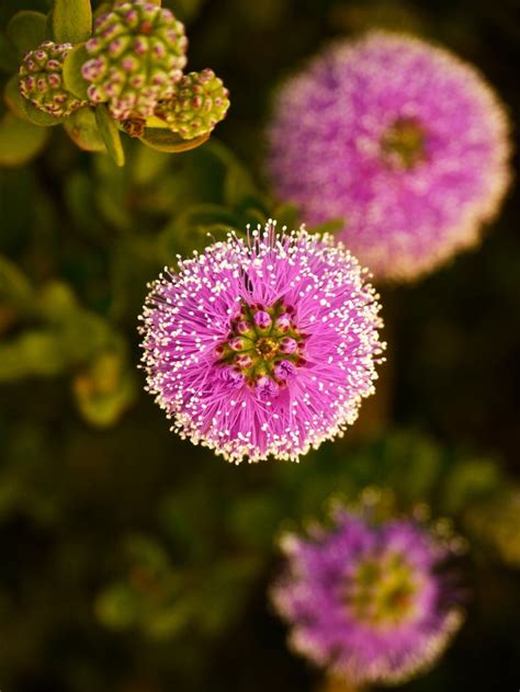 It was possible to trace the fiber optic cables back to the light sources. fiber optic flowers - Google Search | Flowers, Fiber optic ...