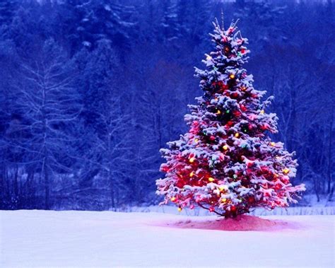 Christmas Tree Wallpapers Free Wallpaper Cave