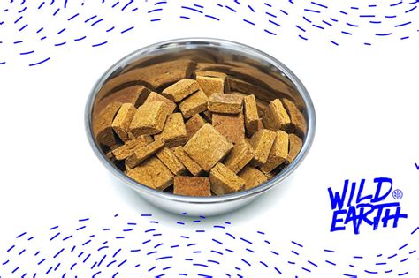 By day 3 and 4 you should be giving your dog a 50/50 mix and increasing to 75% wild earth food by day 6 and 7. Wild Earth now stocking retail shelves with koji-protein ...