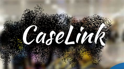 Caselink Business Model By Pragati Caselink