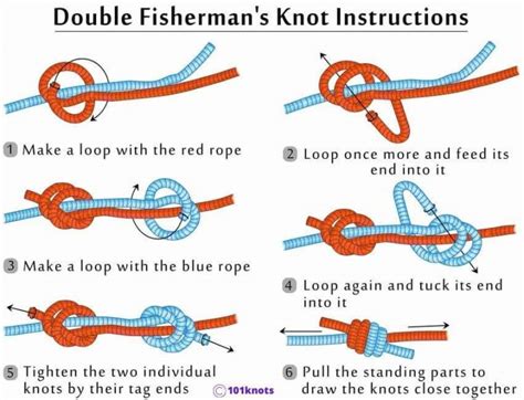 Best Knot For Dog Leash A Quick Guide