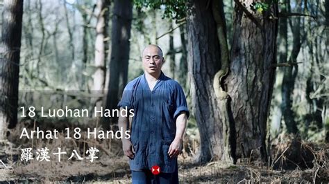 shaolin 18 louhan hands arhat 18 hands kung fu 18 palms shaolin kung fu 少林罗汉18掌 youtube