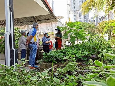 17 Places To Volunteer In Singapore Because Anyone Can Make A Difference